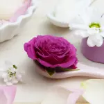 Lovves Milano e i motivi per cui scegliere cosmetici naturali