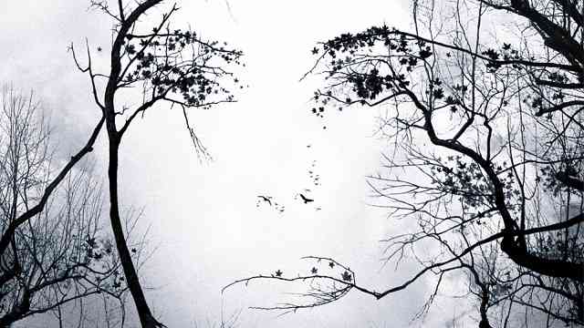 Intuizioni e premonizioni, possono avere un fondo di verità?