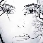 Intuizioni e premonizioni, possono avere un fondo di verità?